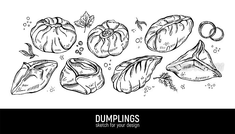 不同的饺子类型。Manty, dumplings, pyanse和buuzy。手绘矢量草图。